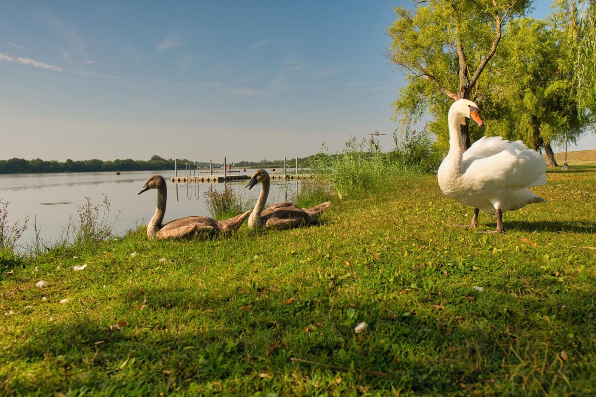 Tisza-To Apartmanpark Kisköre Esterno foto